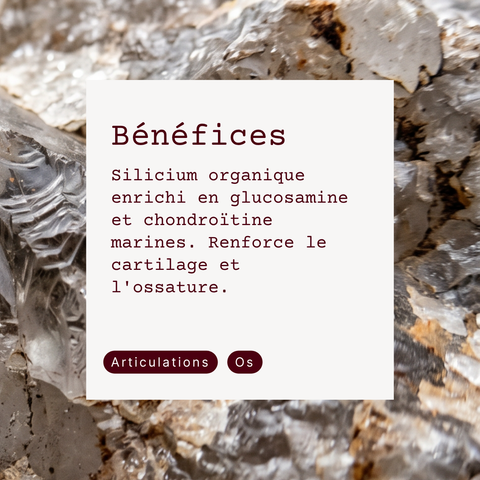 Silicio Organico - Sili-G5 Più