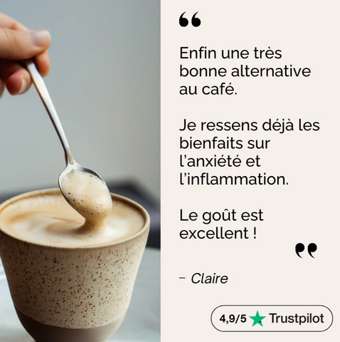 Bonjour Chocolat gastronomique – Chocolat chaud aux champignons fonctionnels