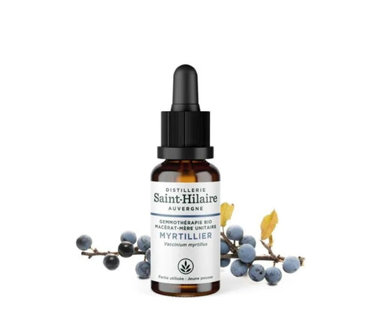Saint-Hilaire Bilberry