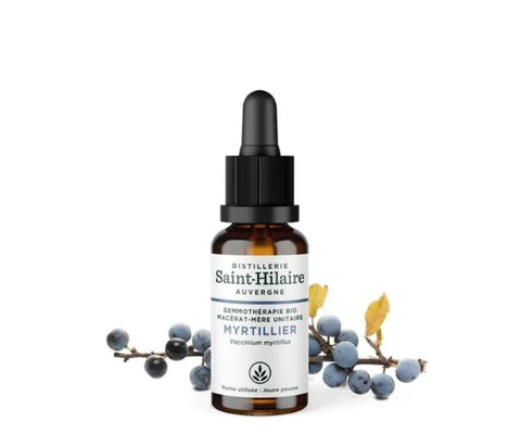Saint-Hilaire Bilberry