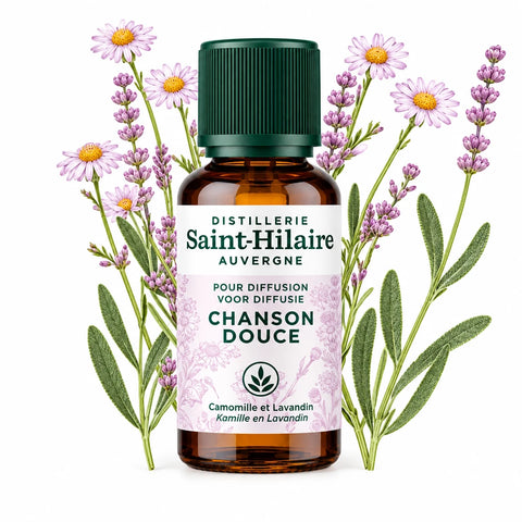 Saint-Hilaire Lullaby