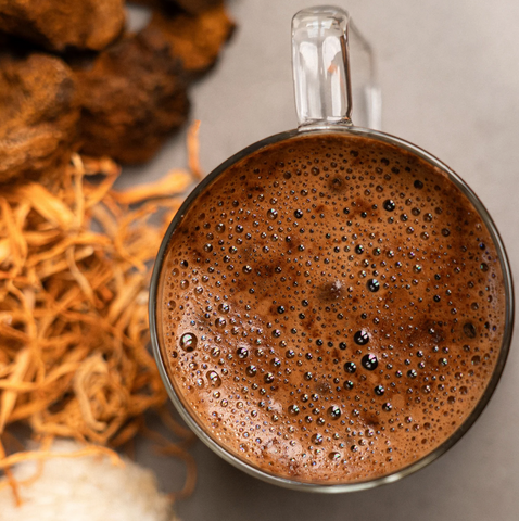 Bonjour Chocolat gastronomique – Chocolat chaud aux champignons fonctionnels