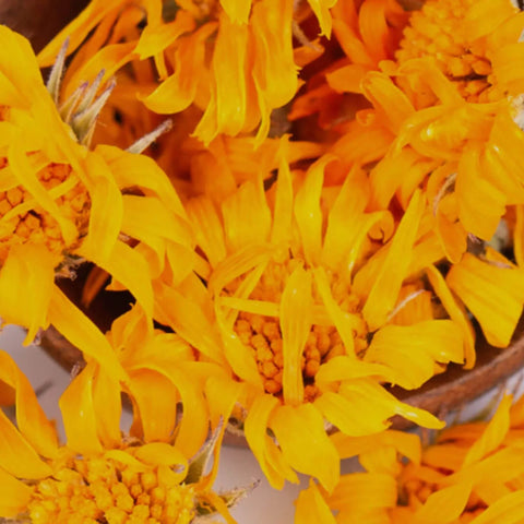 Huile de calendula BIO pressée à froid - Pour le corps et les cheveux