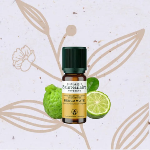 Saint-Hilaire Bergamot