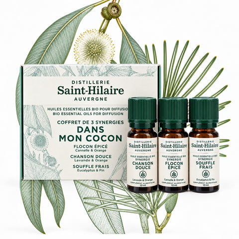 Coffret Saint-Hilaire : Dans Mon Cocoon
