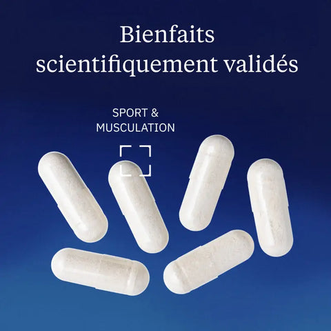 Creatina monoidrato Creapure®