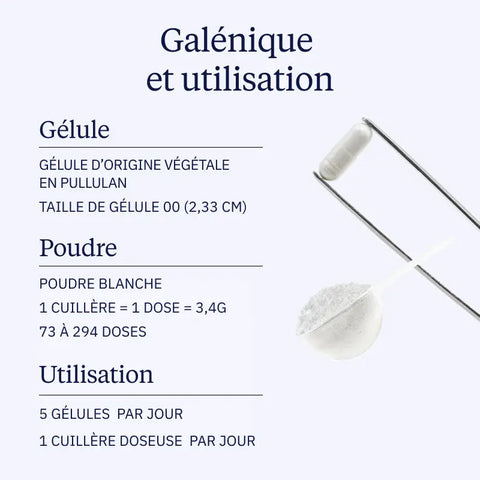 Creatina monoidrato Creapure®