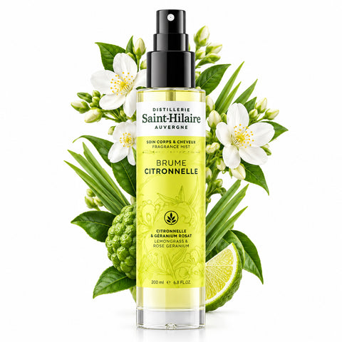 Saint - Hilaire Nebbia alla Citronella