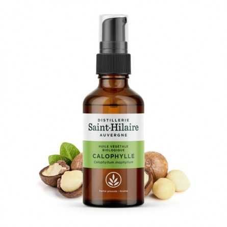 Saint-Hilaire Calophyllum