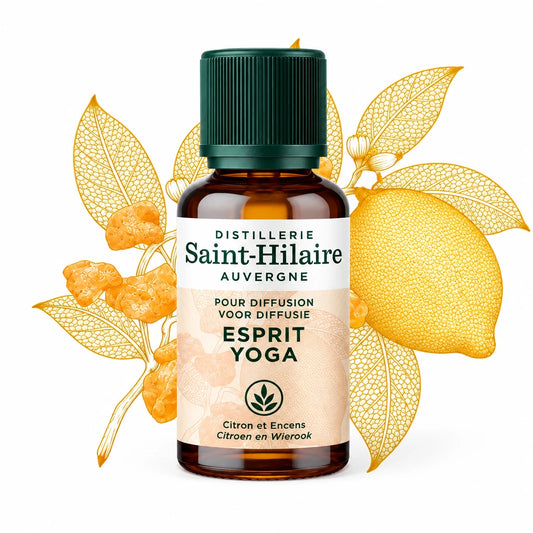 Saint-Hilaire Esprit Yoga