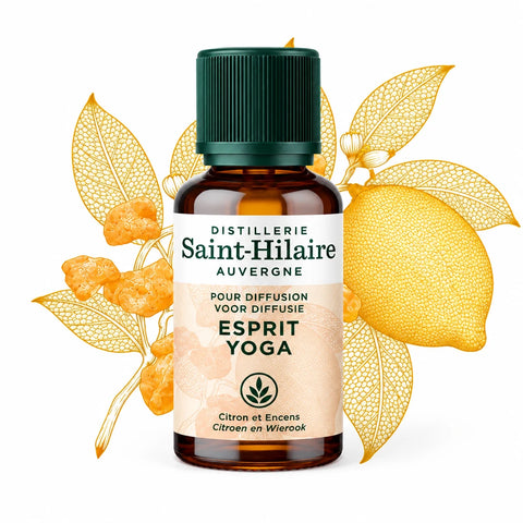 Saint-Hilaire Esprit Yoga