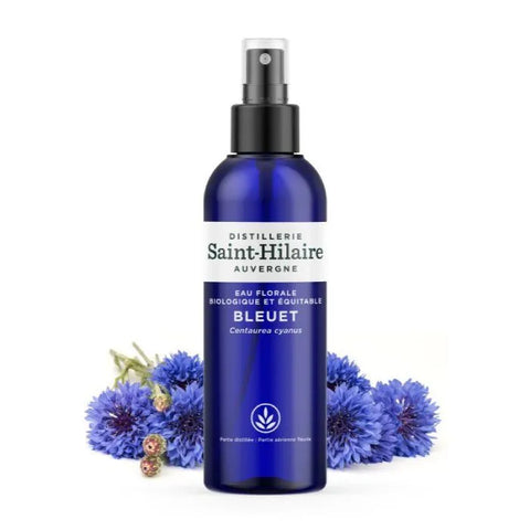 Saint-Hilaire Cornflower