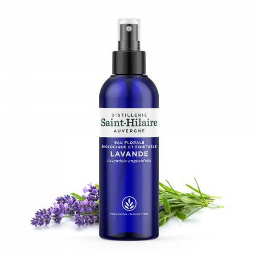 Lavande Vraie Saint-Hilaire