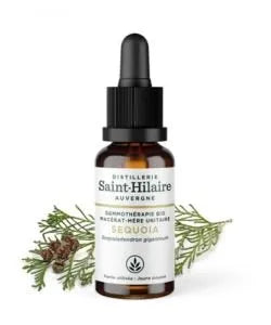 Saint-Hilaire Sequoia