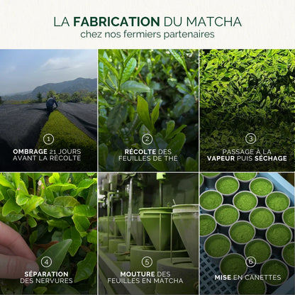Thé Matcha Premium BIO