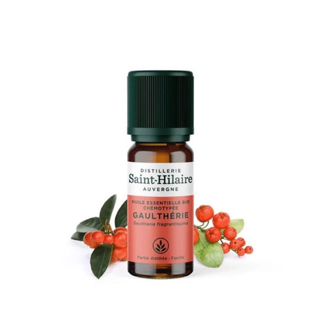 Wintergreen