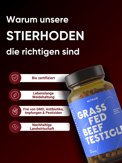 Getrocknete Bio Weiderind Hoden (Stierhoden) in praktischer Kapsel