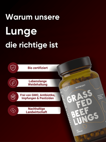 Poumons de bœuf nourri à l'herbe biologiques séchés en capsules