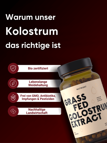 Getrocknetes Weiderind Kolostrum Extrakt in Kapseln