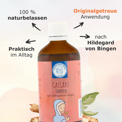 Hildegards Laden - Galgant Tropfen 100ml