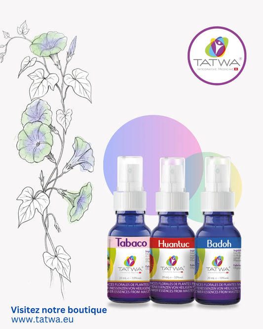 Incarner sa place – Affirmation de soi et Stabilité - produits TATWA avec sprays Tabaco, Huantuc et Badoh.