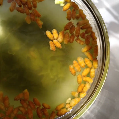 Tee Genmaicha Bio