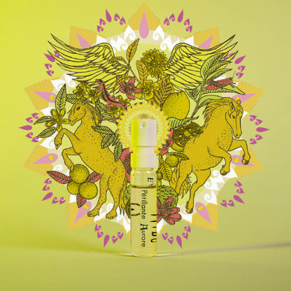 Discovery Set - déesses Goddess