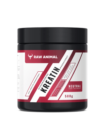 Creatine Monohydrate Powder – 500 g