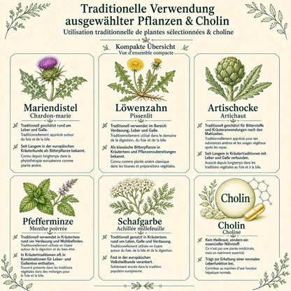 Leber essentia Kapseln – 90 Stück