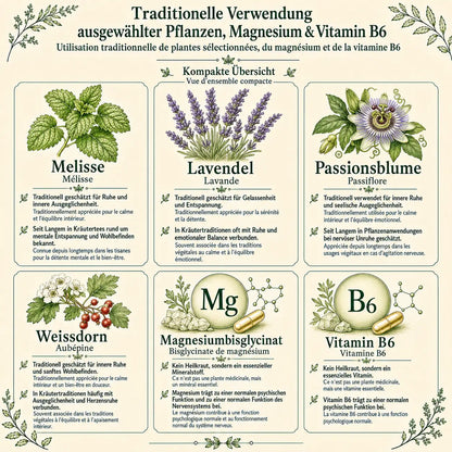 Mental essentia Kapseln – 90 Stück