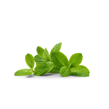 EUR Peppermint 140g