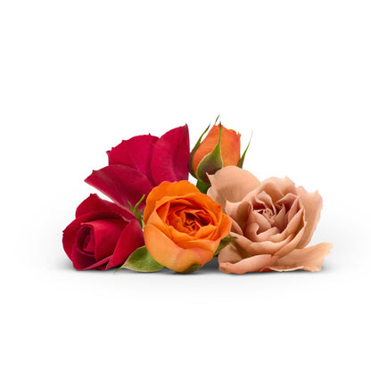 EUR Rose 60ml