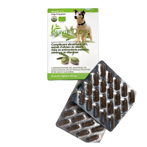 Olivie Hund