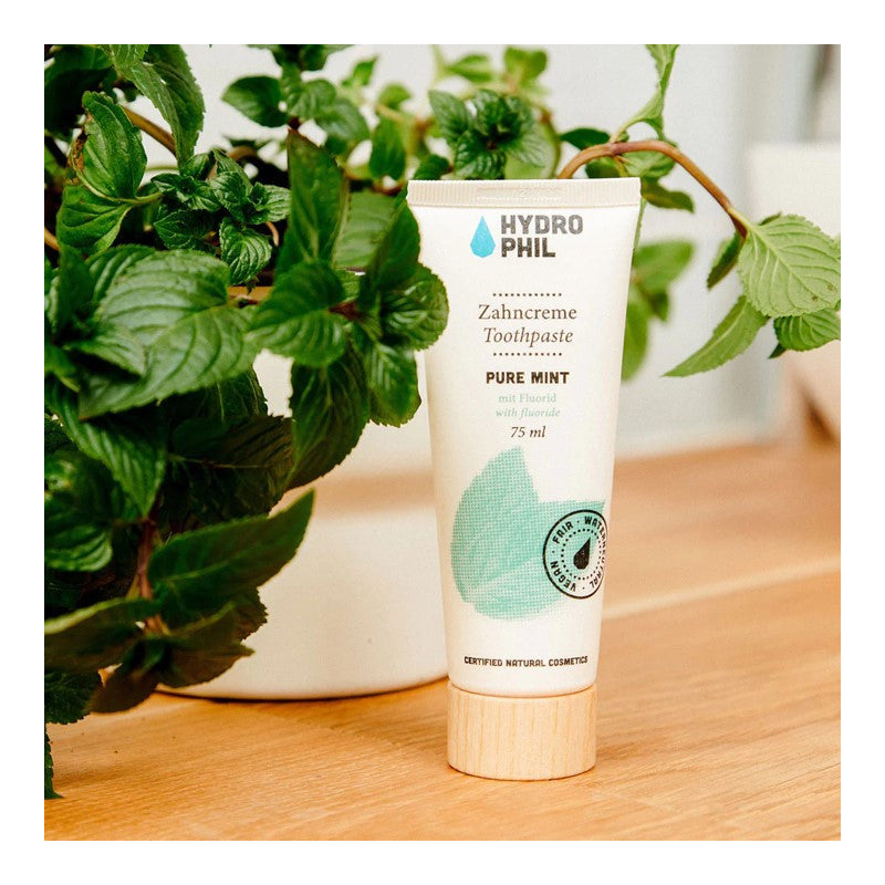 Toothpaste Pure Mint
