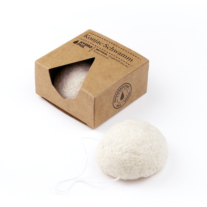 Konjac