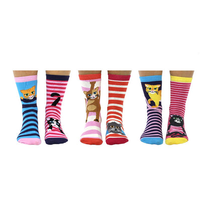 United Oddsocks Ladies 37-42 Feline Good