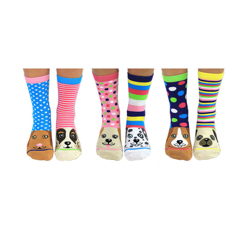 United Oddsocks Ladies 37-42 Pawsome