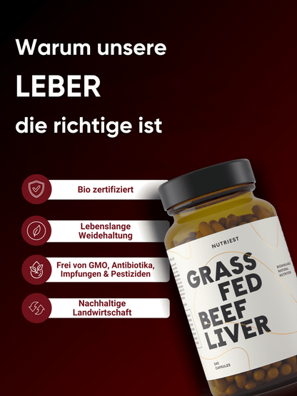 Gélules de foie de bœuf de qualité premium
