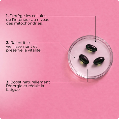 SOLQUINOL - Coenzima Q10