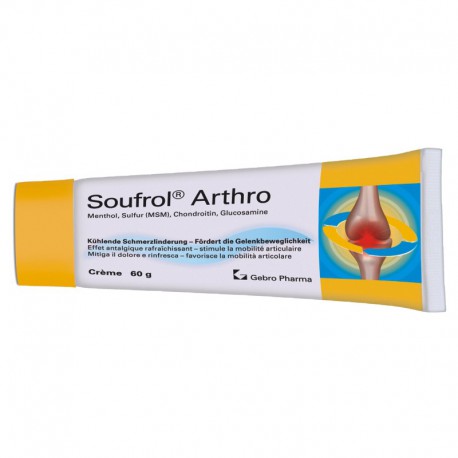 SOUFROL Arthro Creme 60 g